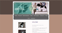 Desktop Screenshot of capricornnewfoundlands.com